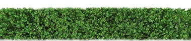 Hedges Hd Png Transparent Background Free Download 32447 Freeiconspng Green bush, hedge garden shrub pruning, hedges free, miscellaneous, 3d computer graphics, grass png. hedges hd png transparent background