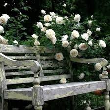 A garden bench is a classic piece every outdoors needs. The Humble Garden Bench My Favourites Making Your Home Beautiful