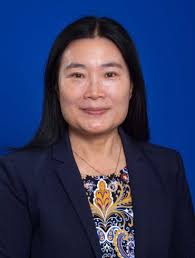 Faculty Research Interest