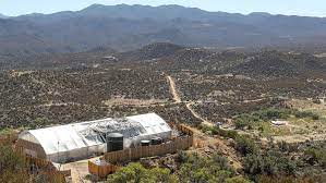 A series of raids on illegal cannabis grows throughout the anza valley led to the seizure of more than 100,000 marijuana plants and nearly five tons of processed product, authorities said today. California Community Torn Apart By Legal And Illegal Cannabis Industry