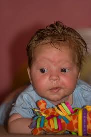 update mei 2009 « Bonaire Update