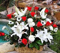 Most noteworthy, visit the home of the world famous san diego zoo. La Mesa Florist Flower Delivery In San Diego County