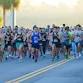 14th Annual FGCU XC Gobbler 5K Event