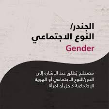 الجندر والتأثير العارم للغة بين وفرة المصطلحات وتشو ش المفهوم تجم ع سوريات من أجل الديمقراطية