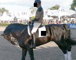 Toute l'actualité en direct, soyez informé de toute l'info en continu, en images et en vidéos, dans votre région, en france et ailleurs. The Advent Of Equitation Science Sciencedirect