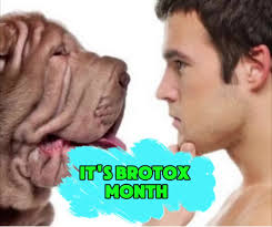 15% Off Neurotoxin for Men: Botox, Dysport, Jeuveau, Xeomin, Daxxify⁠, ⁠,  BroTox all Month!⁠, ⁠, ☝️Booking Link in Bio☝️⁠, 🌐  www.sweetspotmedispa.com⁠, 📞 239-789-3098⁠, ⁠, 🌸Amy Ingle, APRN⁠, ...