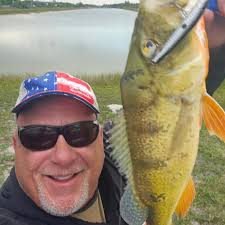 Find a bed. Instant peacock