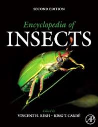 Encyclopedia Of Insects 2nd Edition