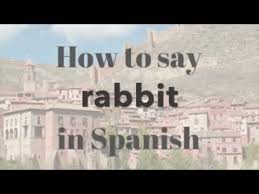 How to greet in spanish. How To Say Rabbit In Spanish Learn Spanish Youtube