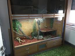 Make a 3d aquarium background. Terrarium In Eigenregie Bauen Markt De