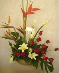 Alcatraz Rosa Y Ave Haz Tu Cita Para Presupuesto Gratis Al Cel 656 2779106 Centeno 6561 Colinas De Juarez Oficina 1703320 Plaza Mile Flowers Plants Lily