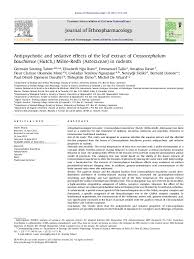 Image result for Crassocephalum bauchiense