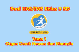 Alhamdulillah saya hari ini bisa membuat soal tematik kelas 5 tema 3 subtema 1 dan jawaban khususnya tema soal tematik kelas 5 tema 3. 40 Soal Penilaian Akhir Semester Pas Uas Kelas 5 Tema 1 Organ Gerak Hewan Dan Manusia Sanjayaops