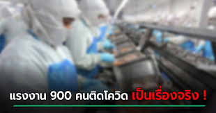 sanook สมุทรสาคร แจง แรงงานโรงงานปลากระป๋อง ติดเชื้อ #โควิด 900 คน เป็นข้อมูล 2 วันก่อน ที่ ศบค. Desjg Jety3rum