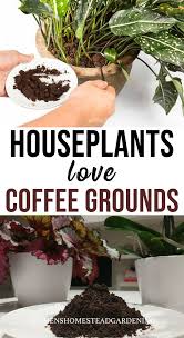 Houseplants Love Coffee Grounds Coffee Grounds For Plants House Plant Care Plant Care Houseplant