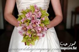 شياكة فساتين افراح 2016 مسكات زفاف بوكيهات ورد للعروس Bouquets Bride Pink Green Wedding Cascading Wedding Bouquets Green Wedding