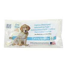 See more ideas about puppies, cute dogs, dogs and puppies. Single Dose Dog Vaccines Pet Supplies Online