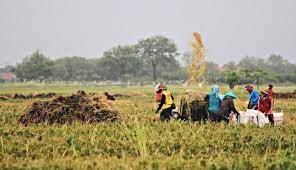 Pemetaan sosial ekonomi masyarakat kecamatan dumai timur. Upaya Dan Strategi Mewujudkan Desa Sejahtera Mandiri