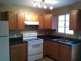 kitchen cabinets on your low / mid