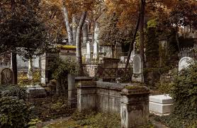 Jardin du souvenir, paris' père lachaise cemetery. Le Pere Lachaise Jardin Des Ombres Amazon Fr Rheims Nathalie Reitzaum Nicolas Livres