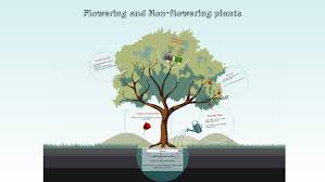 Pertaining to or consisting of pictures; Flowering And Non Flowering Plants By Matt Gaddis
