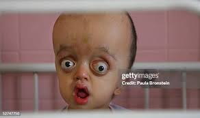 440 New York Veterans Hospital Stock Photos, High-Res Pictures, and Images 