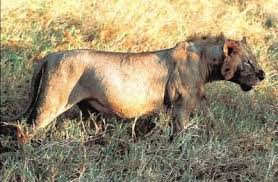 Pin On Episode Accessories