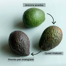 Ora eliminate il nocciolo centrale e togliete la polpa dalla buccia con un cucchiaio. Avocado Proprieta Nutrizionali E 3 Ricette Da Provare