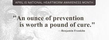 Over the years pets has continued this tradition of serving the local veterinary community by providing high quality emergency care and has evolved to. All Pets Veterinary Medical Center Home Facebook