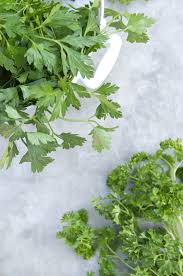 Parsley water is a nutritional beverage similar to herbal medicinal teas. How To Grow Parsley Kitchn
