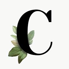 Font, letters, old, vintage, alphabet Download Premium Png Of Botanical Capital Letter C Transparent Png 584896 Lettering Alphabet Fonts Letter C Lettering