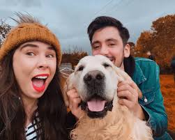 A dream come true... The Golden Retriever Experience in Minehead, if you  haven't heard of it then where the hell have you been for the past year?!  This is one of the