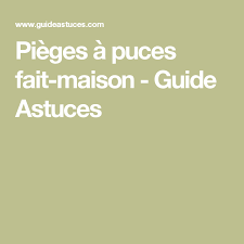 Pieges A Puces Fait Maison Fait Maison Puce Et Puce Maison