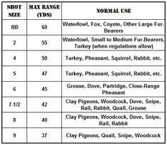 shooting skills n tips shotguns