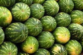 Usually i cut the whole thing into small pieces but don't have time to do that right now. Love Watermelons Find Out How To Tell If A Watermelon Is Ripe On The Gas The Art Science Culture Of Food