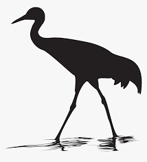 Birds of the african savanna coloring page. Sandhill Crane Png Coloring Page Printable Sandhill Transparent Sandhill Crane Silhouette Png Download Kindpng