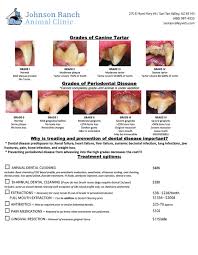 We did not find results for: Pet Dental Johnson Ranch Animal Clinic