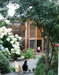 Free Range Chicken Gardens By Jessi Bloom I Just Checked This Book Out From The Library And It Is Full Of Innovative And Gallineros Jardin De Flores Jardines