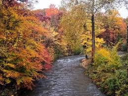 Fall Foliage Peak Map 2019 When Autumn Leaves Are Best In Ga Decatur Ga Patch