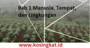 Kunci Jawaban Ips Kelas 7 Halaman 80 82 Uji Kompetensi Bab 1 Kosingkat