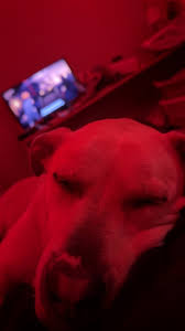 Jaz☹︎ (@j4zlovesst4rs)