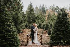 4,439 likes · 58 talking about this · 9,480 were here. Trinity Tree Farm Wedding Laura Alex Adventurous Seattle Elopement Photographers Nick Plus Danee