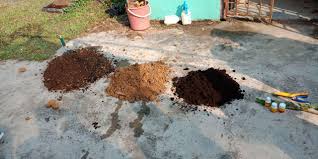 1) keratan batang merupakan kaedah yang paling mudah dibuat terhadap tanaman hiasan dan sayuran. Minggu 4 Pembiakan Tanaman Melalui Keratan Batang