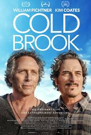It has received poor reviews from critics and viewers, who have given it an imdb score of 5.6. Cold Brook Review William Fichtner Crafts An Endearing Directorial Debut
