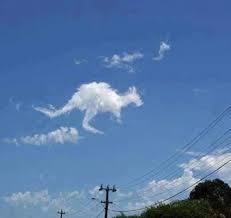 Kangaroo clouds! Real or... - The Land Down Under | Facebook
