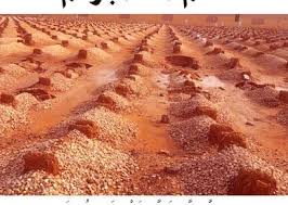 صور دعاء للميت 2020 صور رمزيات حالات خلفيات عرض واتس اب انستقرام فيس بوك رمزياتي