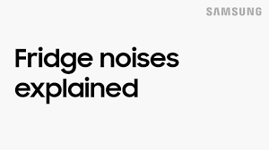 Check spelling or type a new query. Why My Samsung Refrigerator Is Making Noise Samsung Malaysia