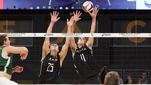 Enjoying the game i love while representing the beach and usa volleyball. Tj Defalco Men S Volleyball Long Beach State University Athletics