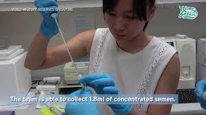 All eyes are on senior veterinarian abraham mathew, who has in his hands a teaspoon's worth of milky liquid, the fruit of hours of effort. Helping Kai Kai And Jia Jia Become Papa And Mama Youtube