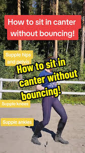 How To Sit In Canter And Follow The Horse'S Movement Without Bouncing?... |  Tiktok